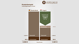 Kosten für implantatgetragene Kronen, Schaubild mit Kostenvergleich Ungarn und Deutschland