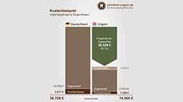 Kosten einer Zahnbehandlung mit implantatgetragenen Stegprothesen, Schaubild mit Kostenvergleich Ungarn und Deutschland