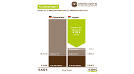 Kosten für Metallkeramikkronen und Brücken, Schaubild mit Kostenvergleich Ungarn und Deutschland