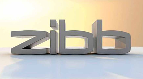 Logo der Sendung zibb im RBB Fernsehen