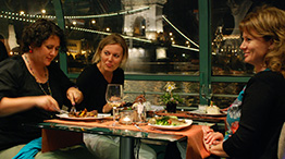 Romantisches Donau-Dinner